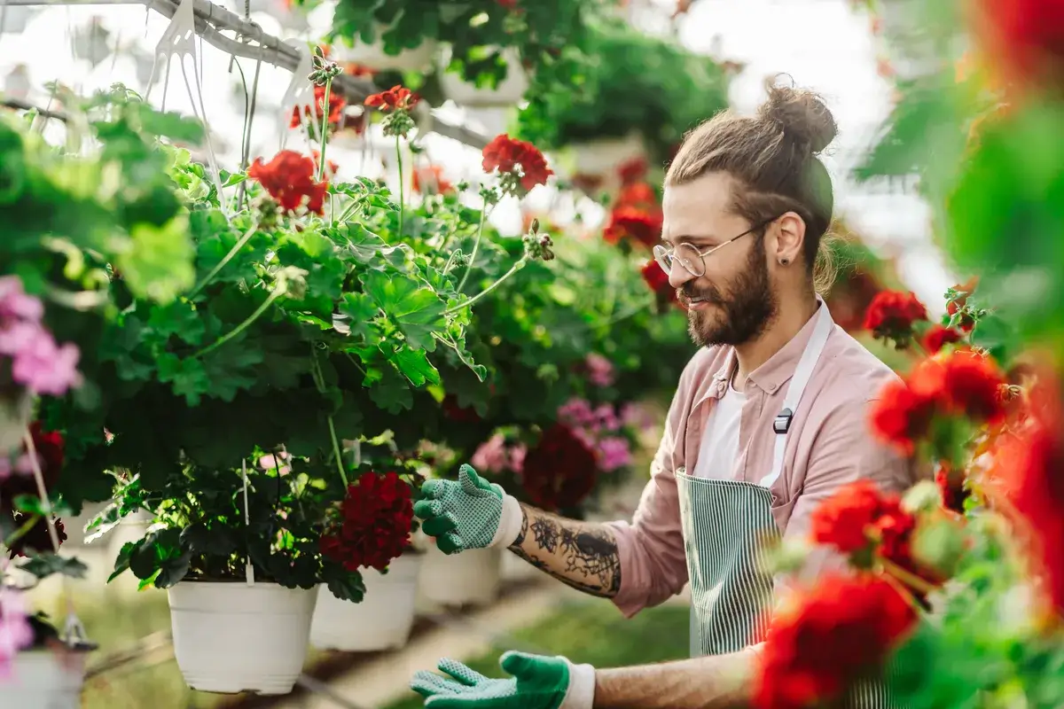man-gardener-working-in-a-greenhouse